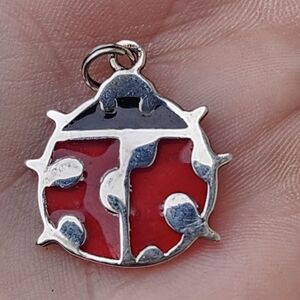 Red and Black Ladybug Pendant